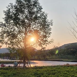 心随境转头像