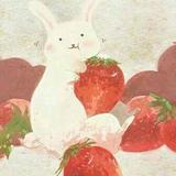 honeydaylight头像
