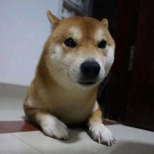 豆包快跑头像