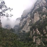 2你没商量头像