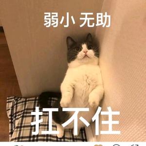 创意伯内特9N5头像