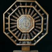 luzhaoyang838300头像
