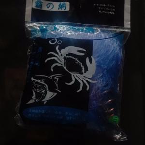 博学多才的图拉丁头像