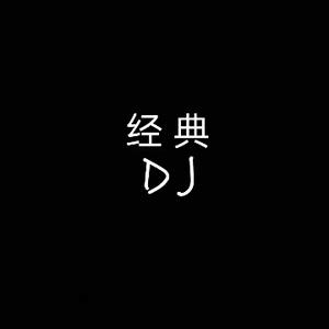 经典DJ(车载U盘)头像