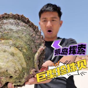 Ok哥探索全球海岛分享头像