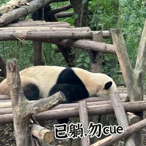 认真艾登4N8j头像