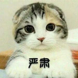 非鱼居头像