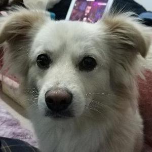 30岁了还没去过迪士尼头像
