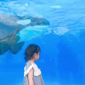 宛宛讲绘本头像