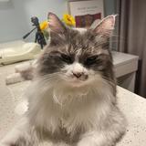 技盲猿Tips头像