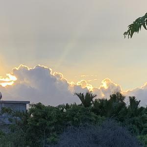 Countryside小麦头像