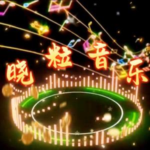 晓粒头像