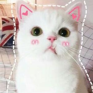 柒柒要喝奶头像